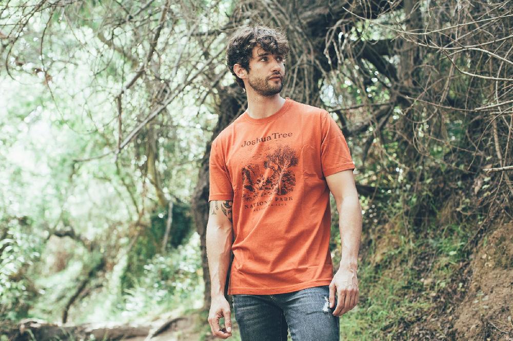 American Needle Vintage Fade Brass Tacks Shirt – Joshua Tree National Park