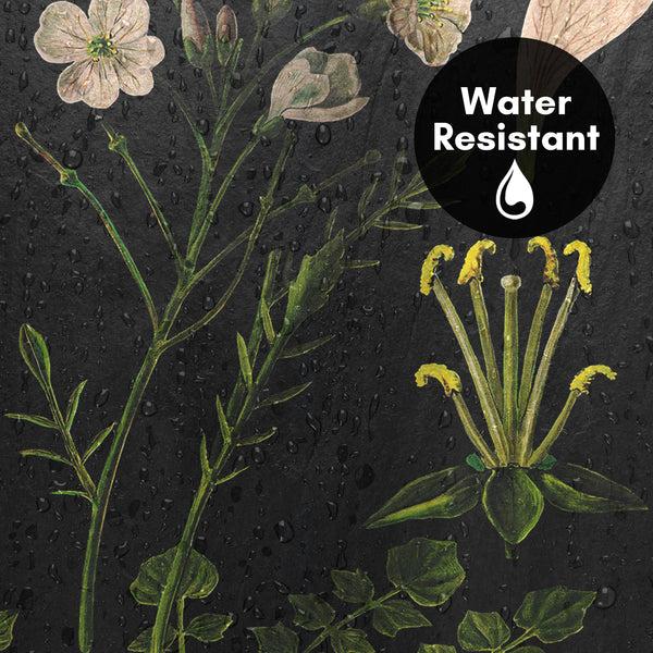 Americanflat 71x74 Botanical Shower Curtain With 12 Metal Grommets | Cuckoo Flower – Americanflat