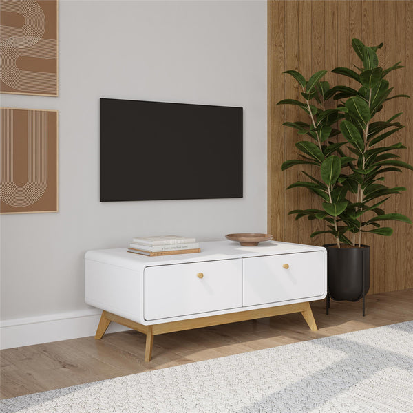 Ameriwood Home Ren Home Leva Entertainment Console / TV Stand
