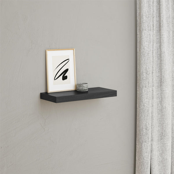 Ameriwood Home Systembuild Evolution 24" Floating Shelf