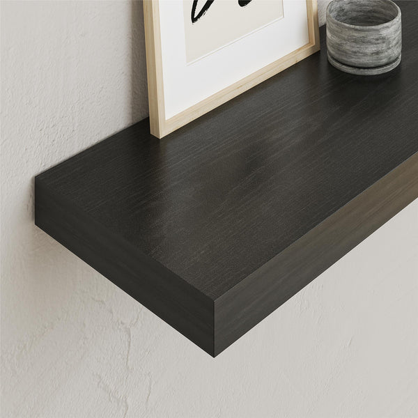 Ameriwood Home Systembuild Evolution 24" Floating Shelf