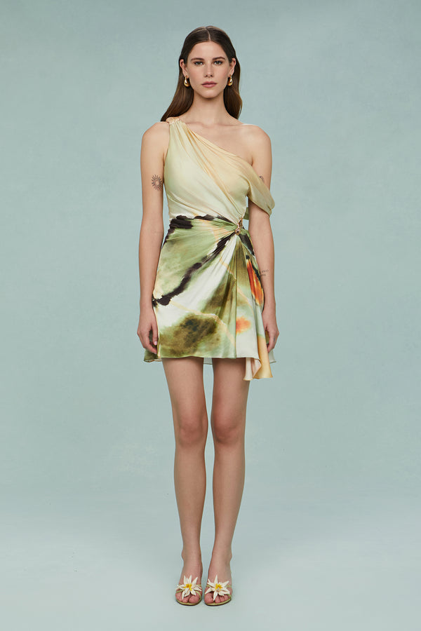 amur Elowen Print Mini Dress Butterfly Wing