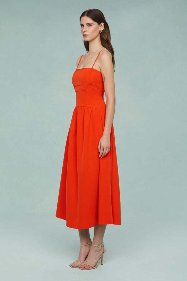 Amur Oliver Cady Midi Koi