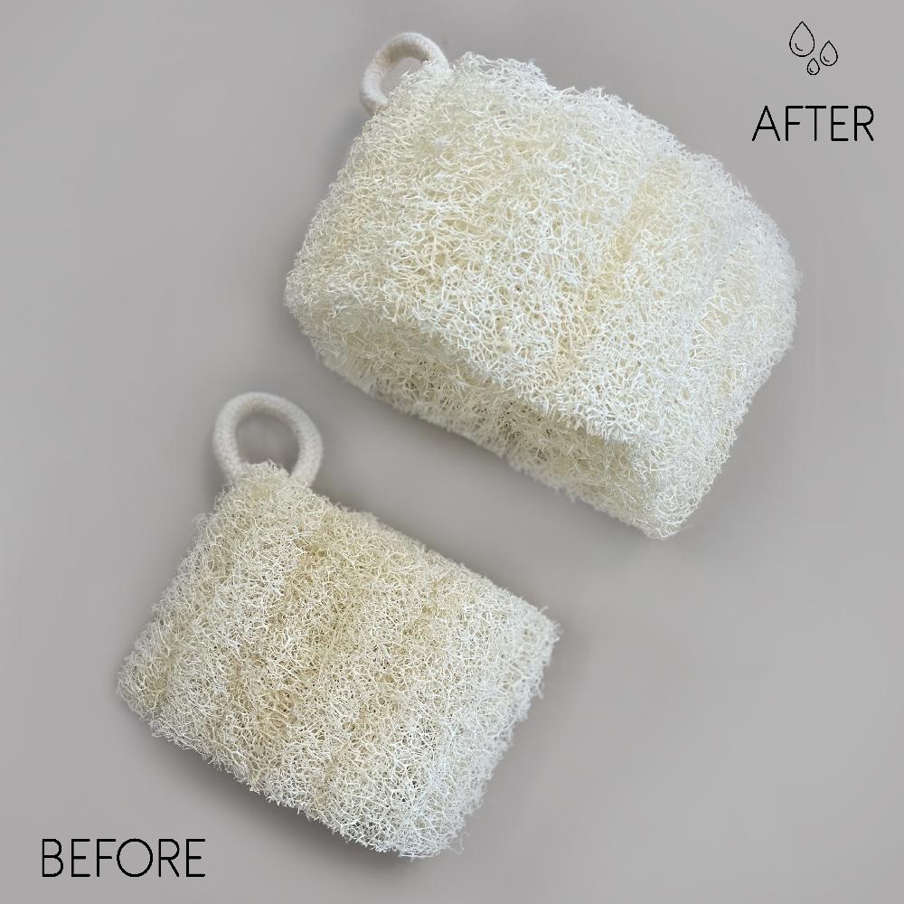 ancient wisdom 10x Egyptian Luxury Loofah with Cotton String - Non-Compressed - 8-12cm