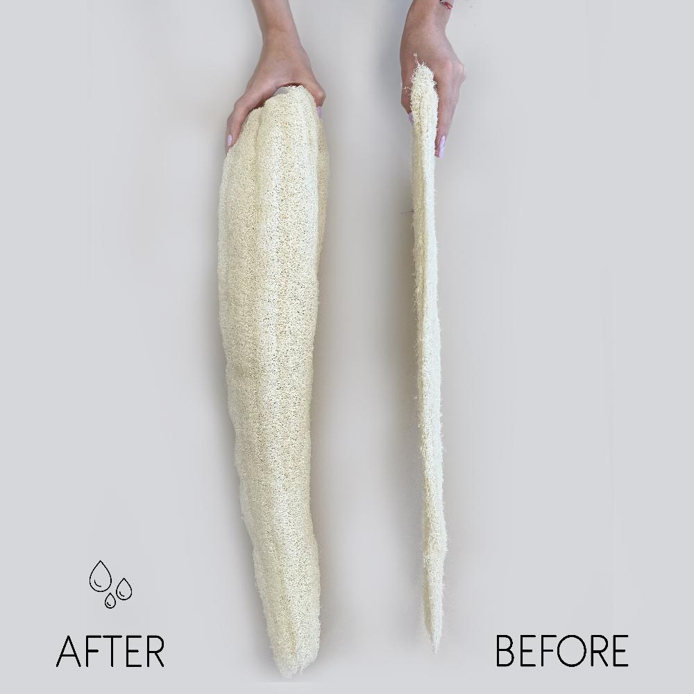 Ancient Wisdom 10x Egyptian Luxury Whole Loofah - Compressed - 60cm+