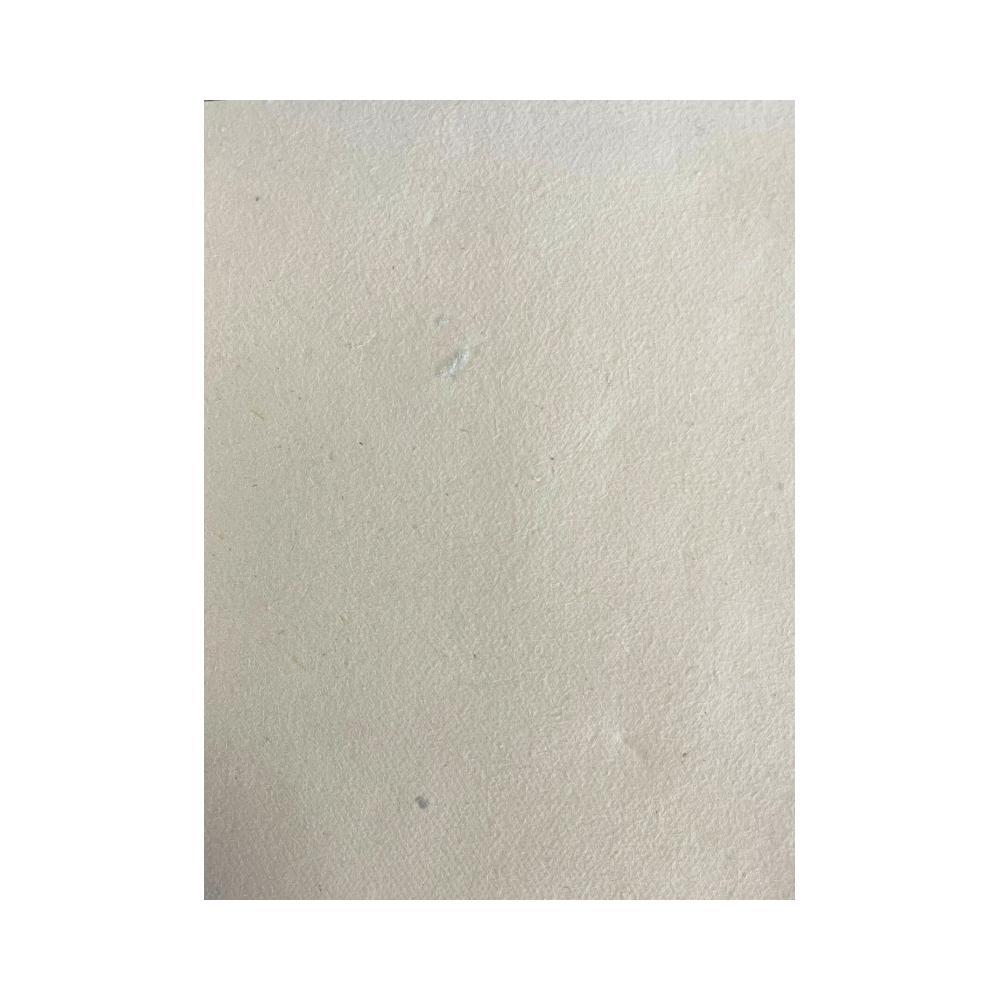 Ancient Wisdom 10x Lokta Craft / Wrapping Paper (510x76cm) - 5gms Plain Paper