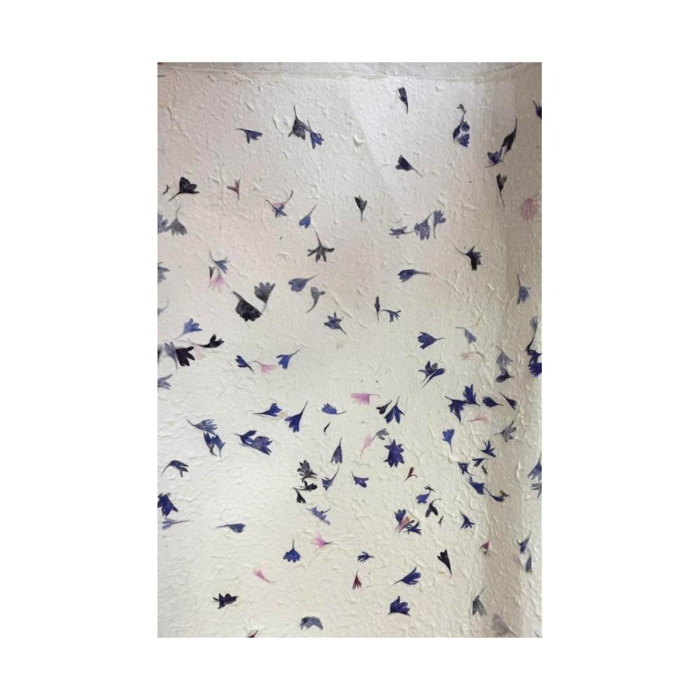 Ancient Wisdom 10x Lokta Craft / Wrapping Paper (510x76cm) - Cornflower
