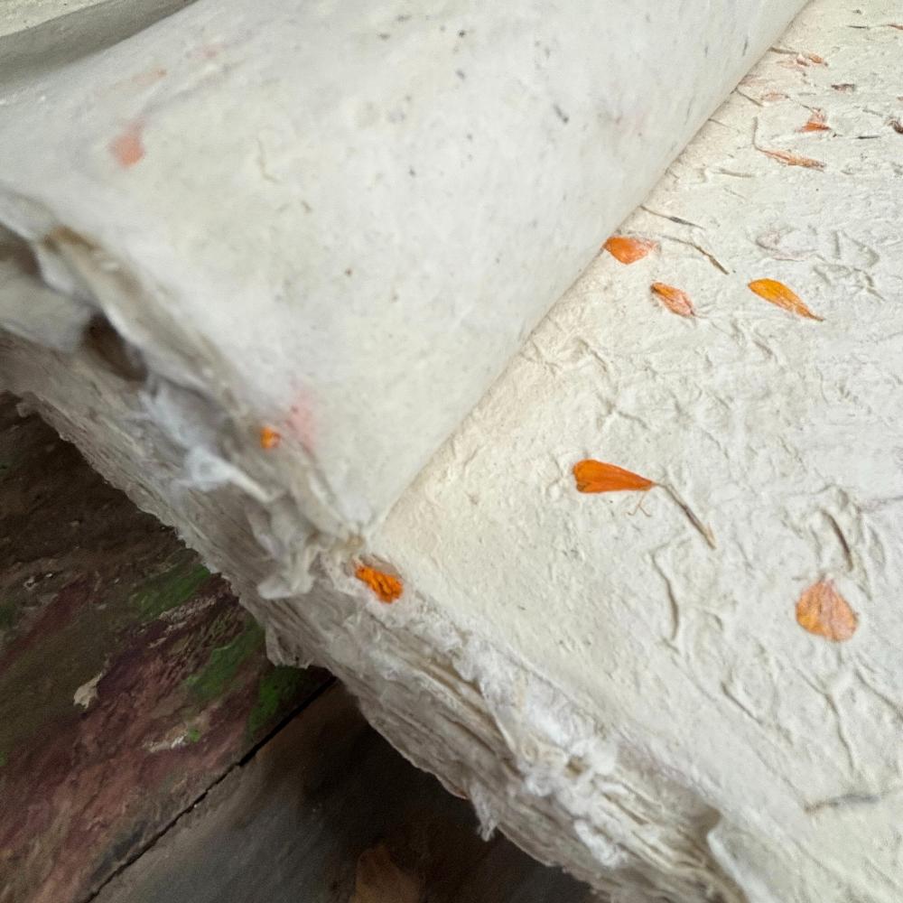 ancient wisdom 10x Lokta Craft / Wrapping Paper (510x76cm) - Marigold