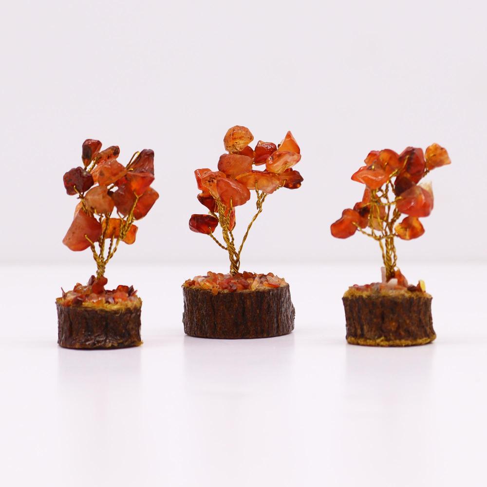 Ancient Wisdom 12x Mini Gemstone Trees On Wood Base - Carnelian (15 Stones)