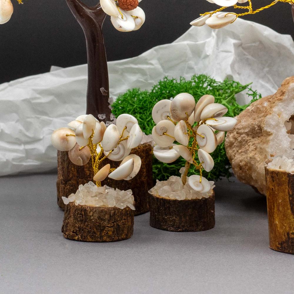 Ancient Wisdom 12x Small Gomati Chakra Circle Stone Trees With Rudraksha - (15 Stones)
