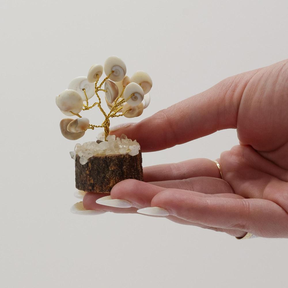 Ancient Wisdom 12x Small Gomati Chakra Circle Stone Trees With Rudraksha - (15 Stones)