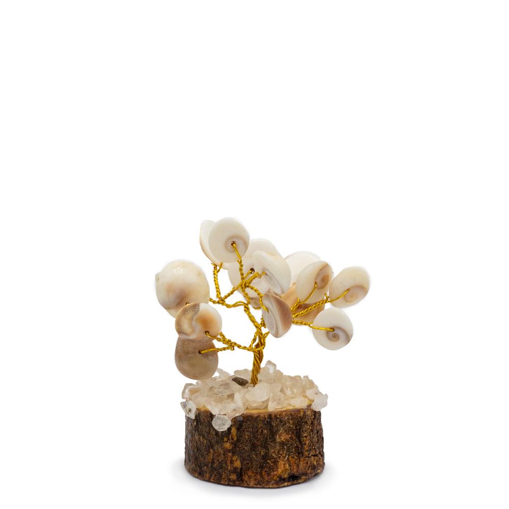 ancient wisdom 12x Small Gomati Chakra Circle Stone Trees with Rudraksha - (15 stones)