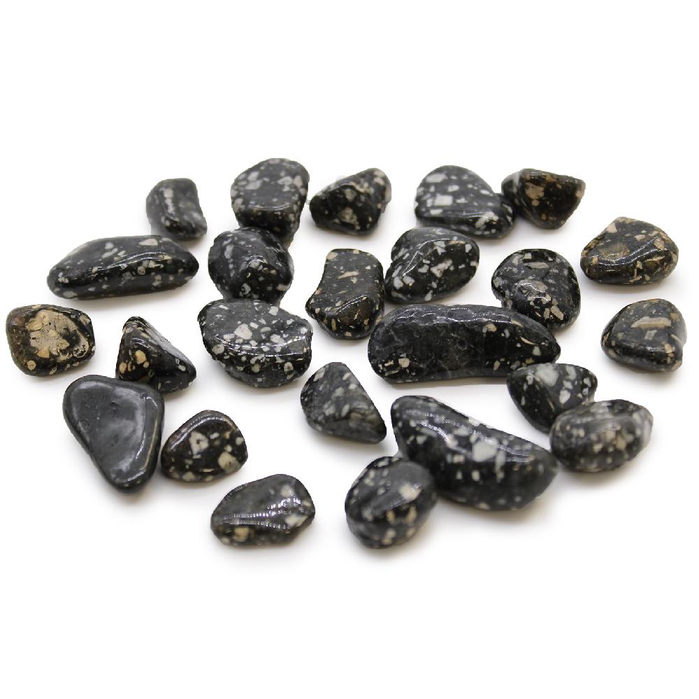ancient wisdom 24x Small African Tumble Stone - Guinea Fowl