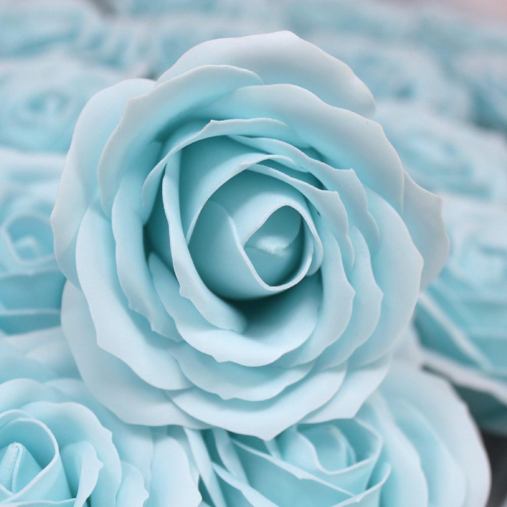 Ancient Wisdom 25x Craft Soap Flowers - Lrg Rose - Baby Blue