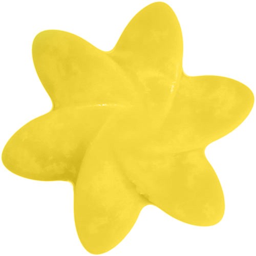 Ancient Wisdom 40x Natural Soy Wax Melts -Japanese Magnolia