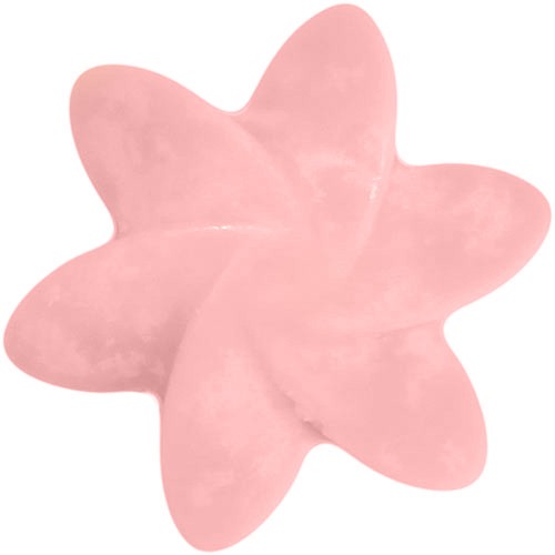 Ancient Wisdom 40x Natural Soy Wax Melts -Midnight Jasmine