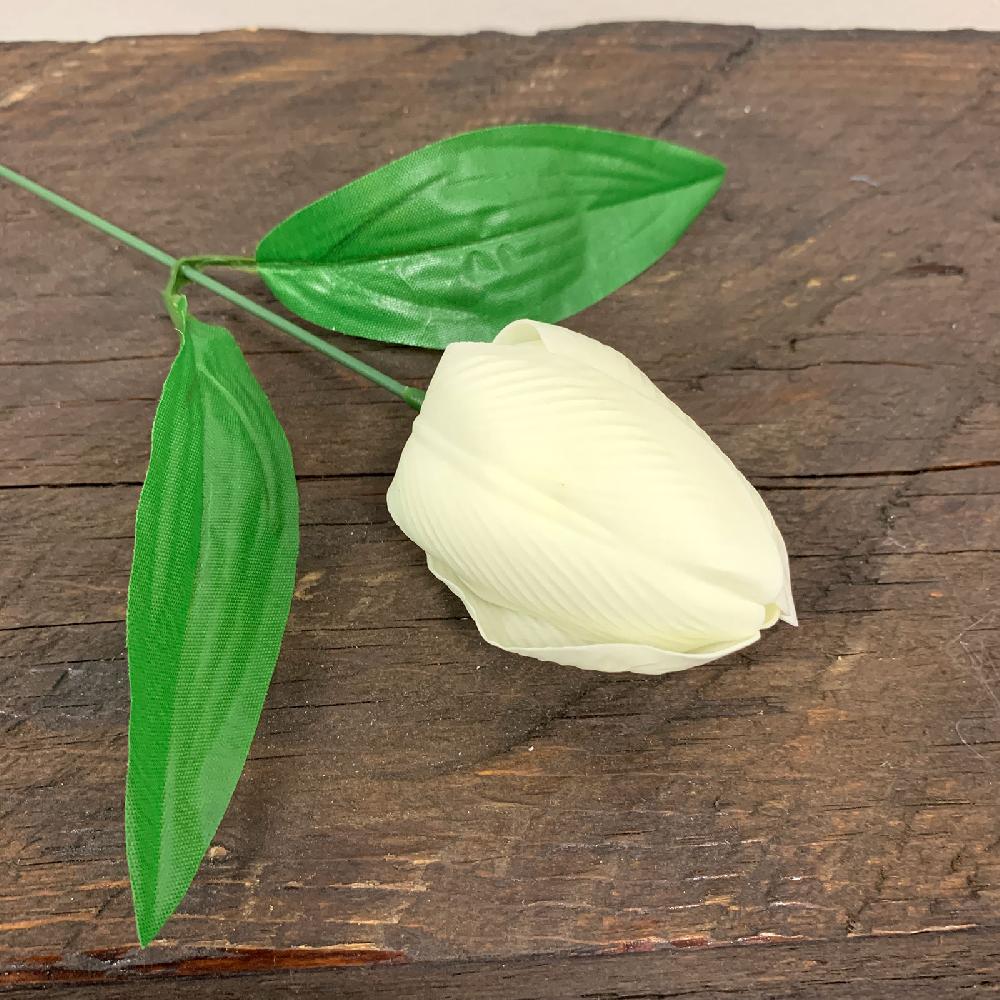 Ancient Wisdom 50x Craft Soap Flower - Med Tulip - Ivory