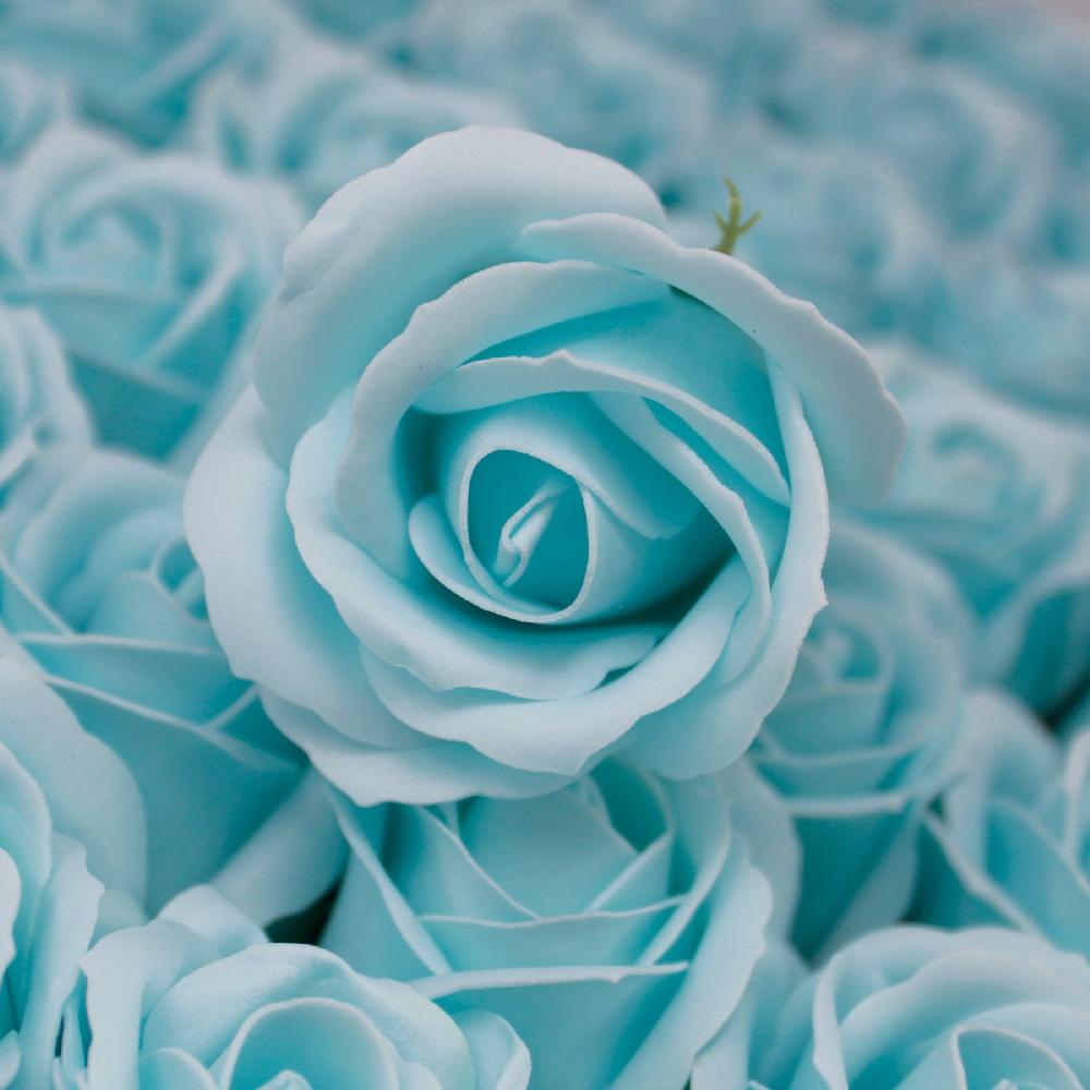 Ancient Wisdom 50x Craft Soap Flowers - Med Rose - Baby Blue