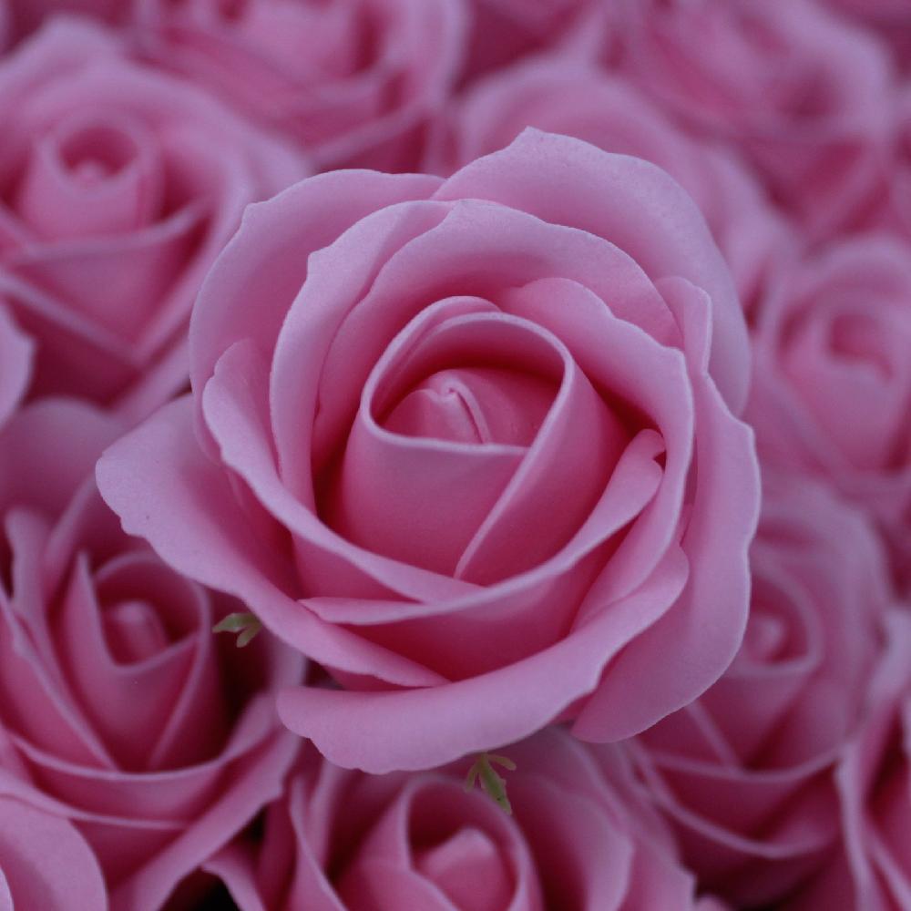 Ancient Wisdom 50x Craft Soap Flowers - Med Rose - Blush