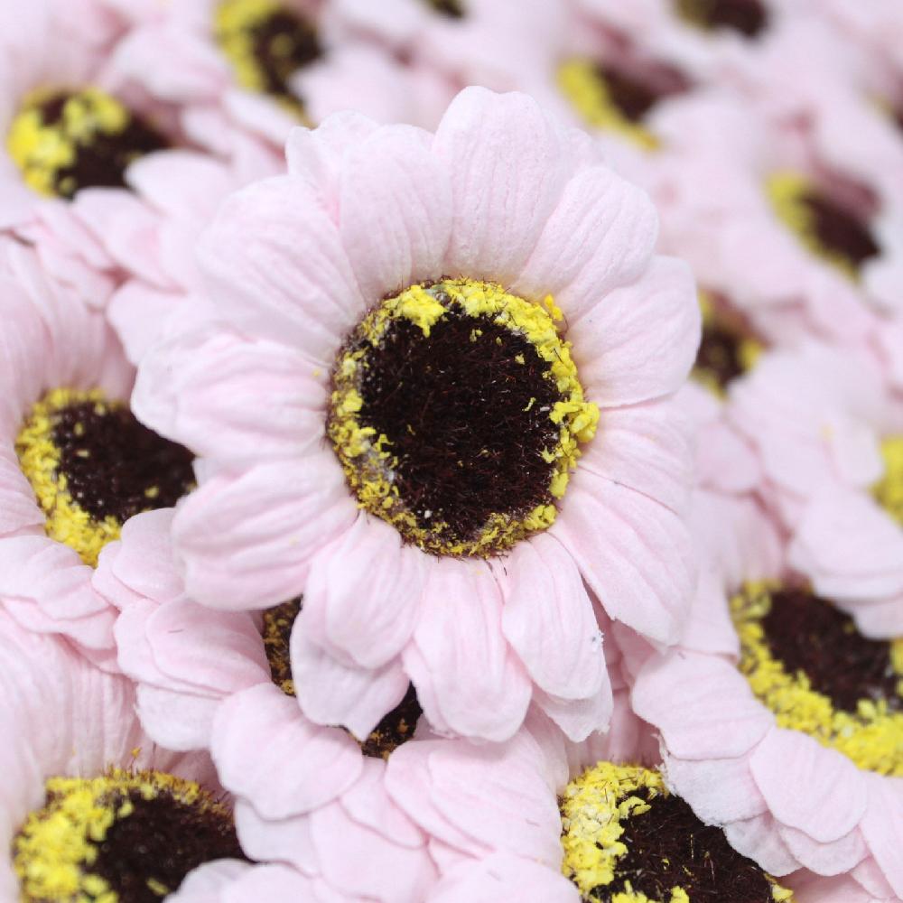 Ancient Wisdom 50x Craft Soap Flowers - Sml Sunflower - Pink