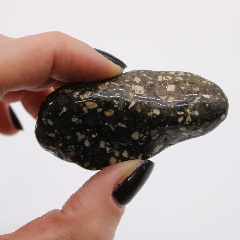 Ancient Wisdom 6x Large African Tumble Stone - Guinea Fowl Large