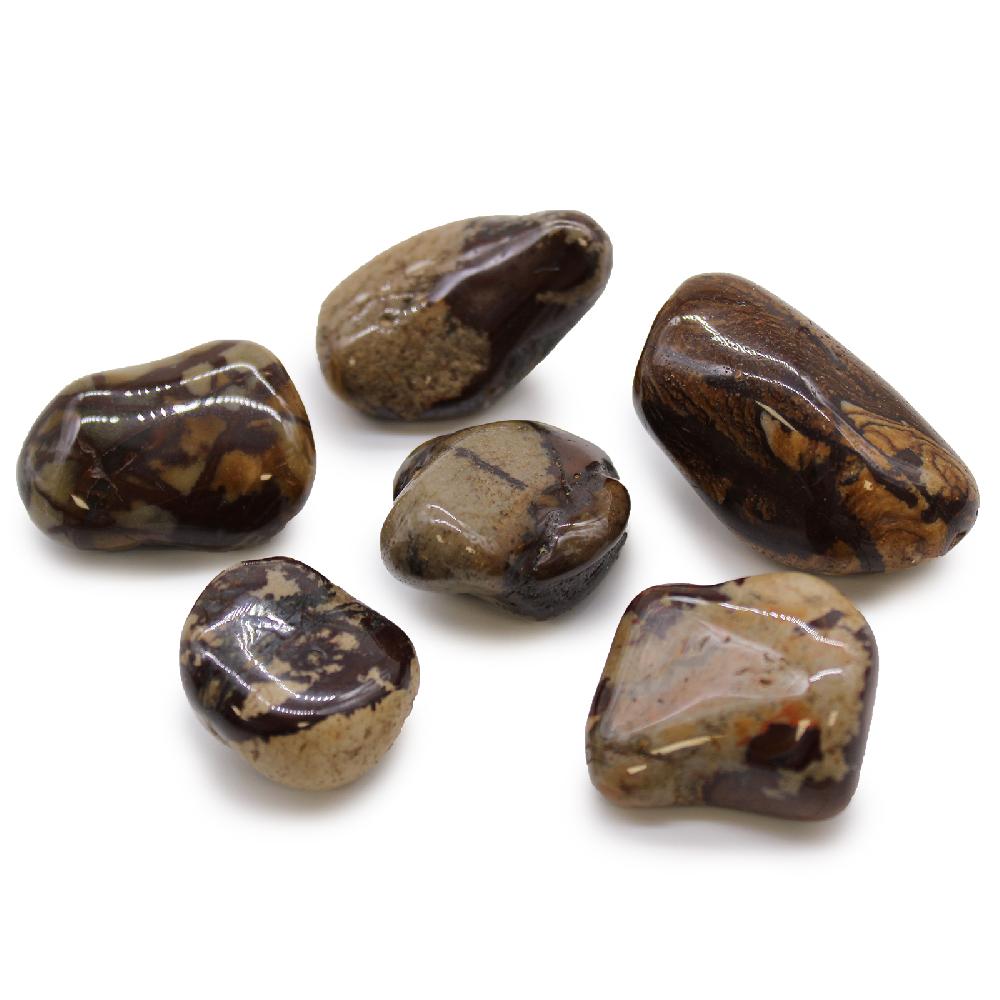 ancient wisdom 6x Large African Tumble Stone - Jasper Nguni