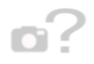 ancient wisdom 8x Linen Cushion Covers Palm Tree with Inner - with fringe 60x60cm