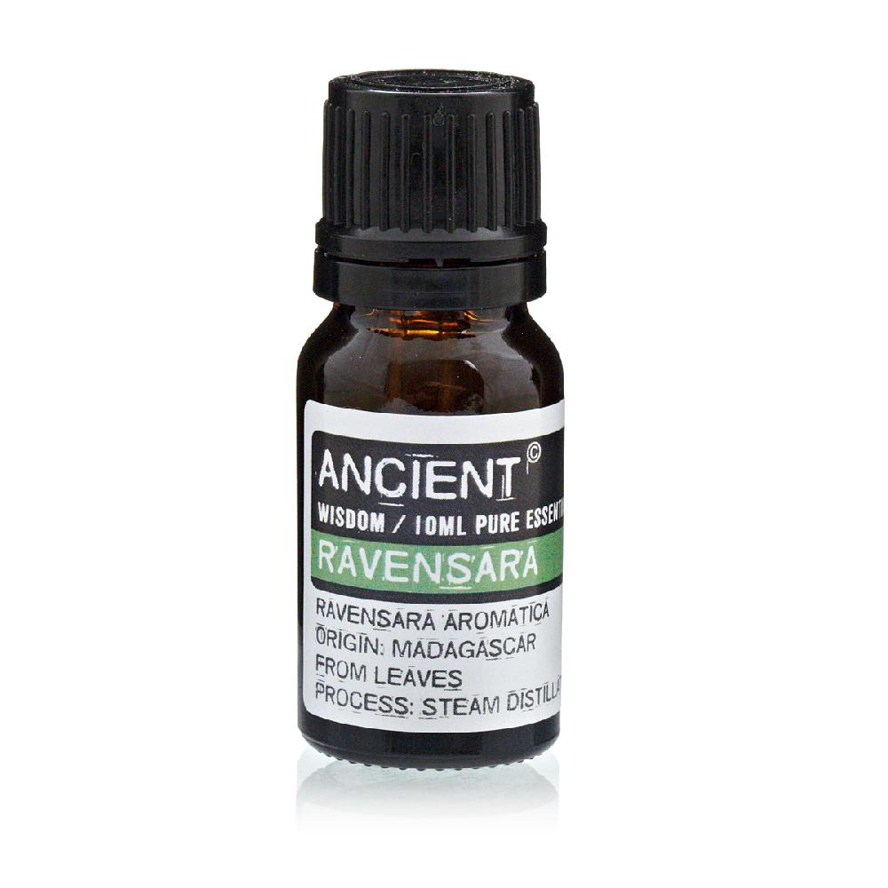 ancient wisdom 10 ml Ravensara Essential Oil