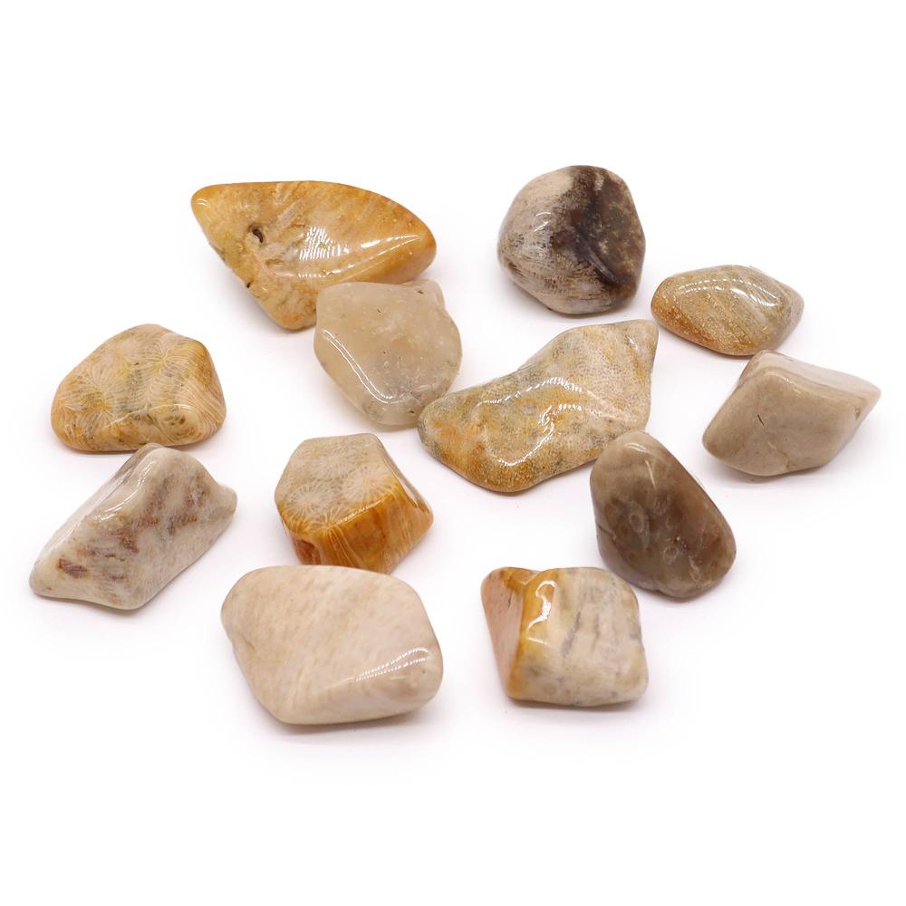 ancient wisdom 18x XL Tumble Stones - Agatised Coral