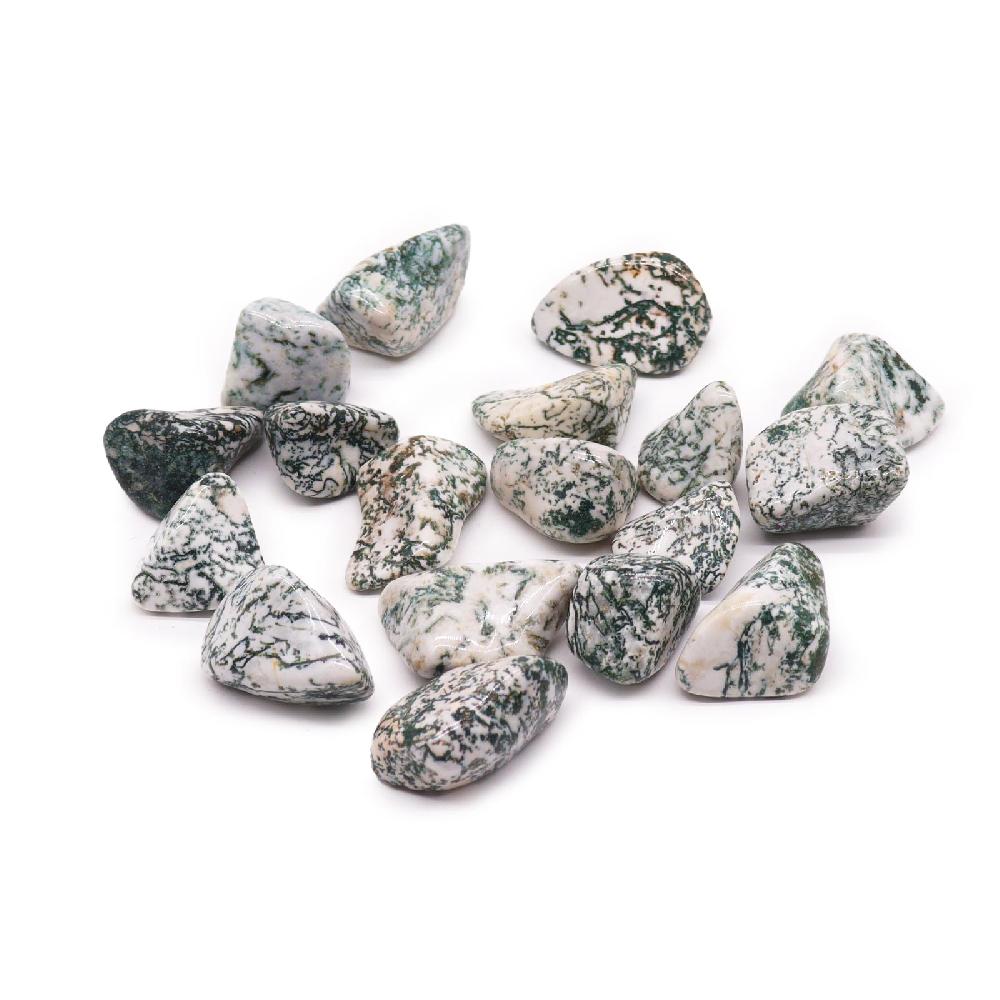 ancient wisdom 18x XL Tumble Stones - Tree Agate