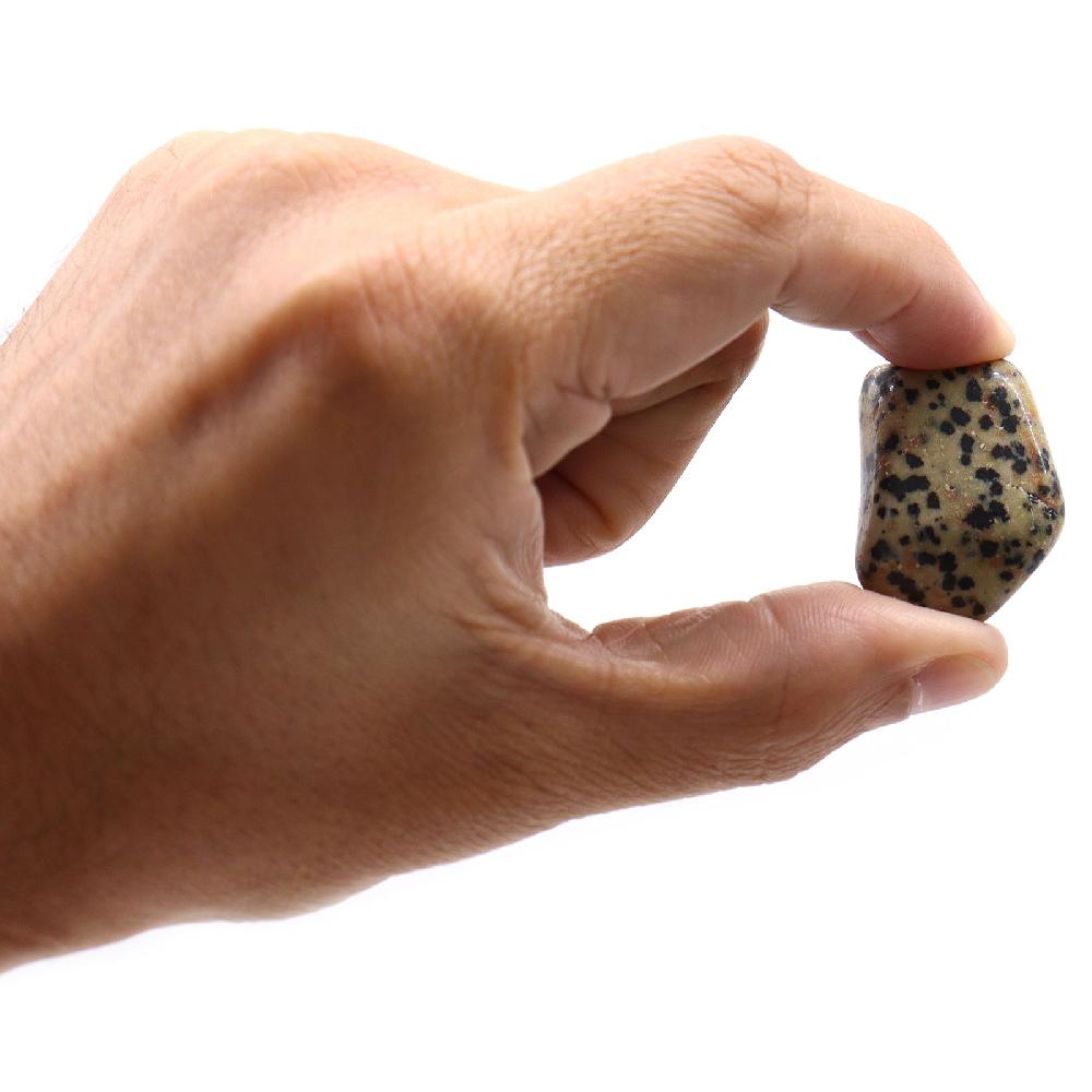 Ancient Wisdom 24x L Tumble Stone - Dalmation Stone