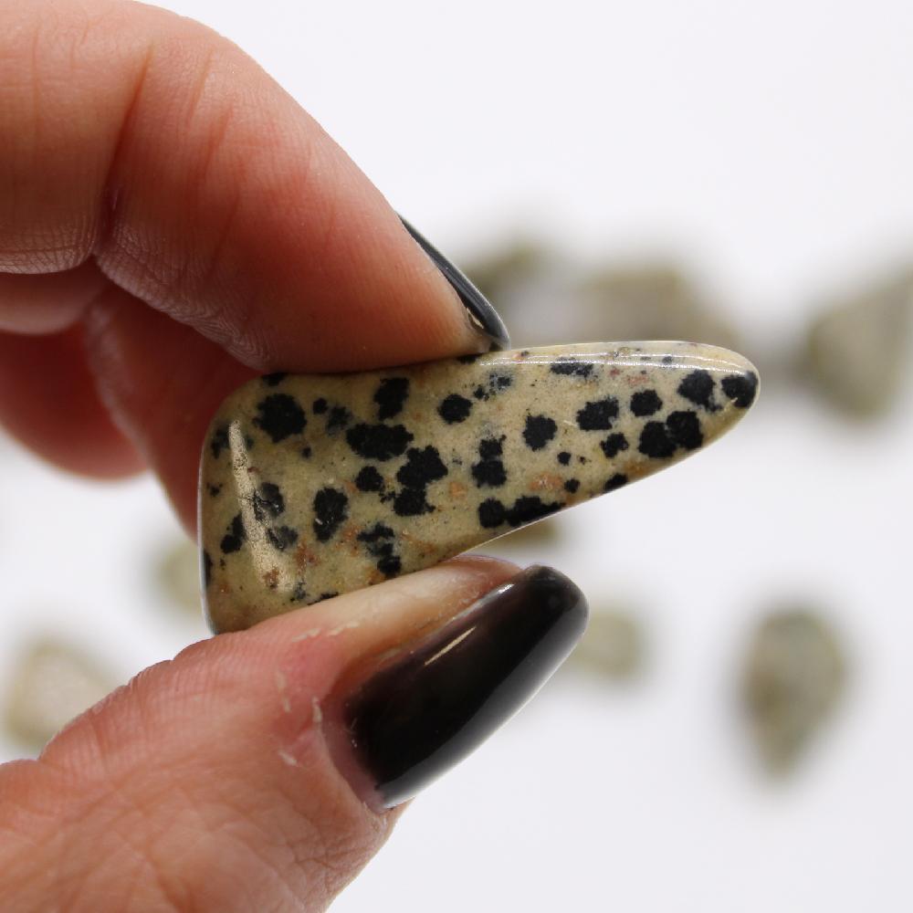 Ancient Wisdom 24x M Tumble Stone - Dalmatian Stone