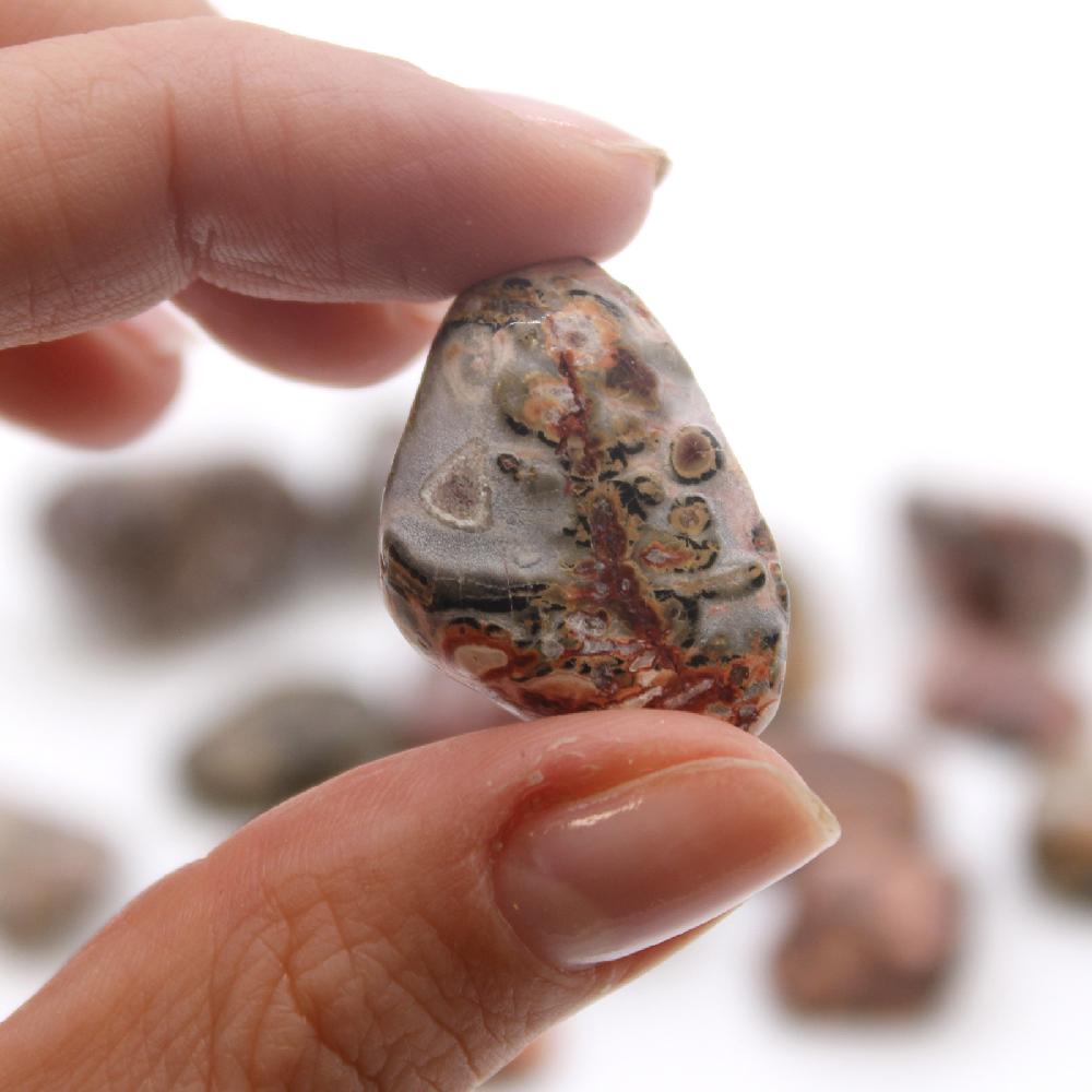 Ancient Wisdom 24x M Tumble Stone - Leopard Skin