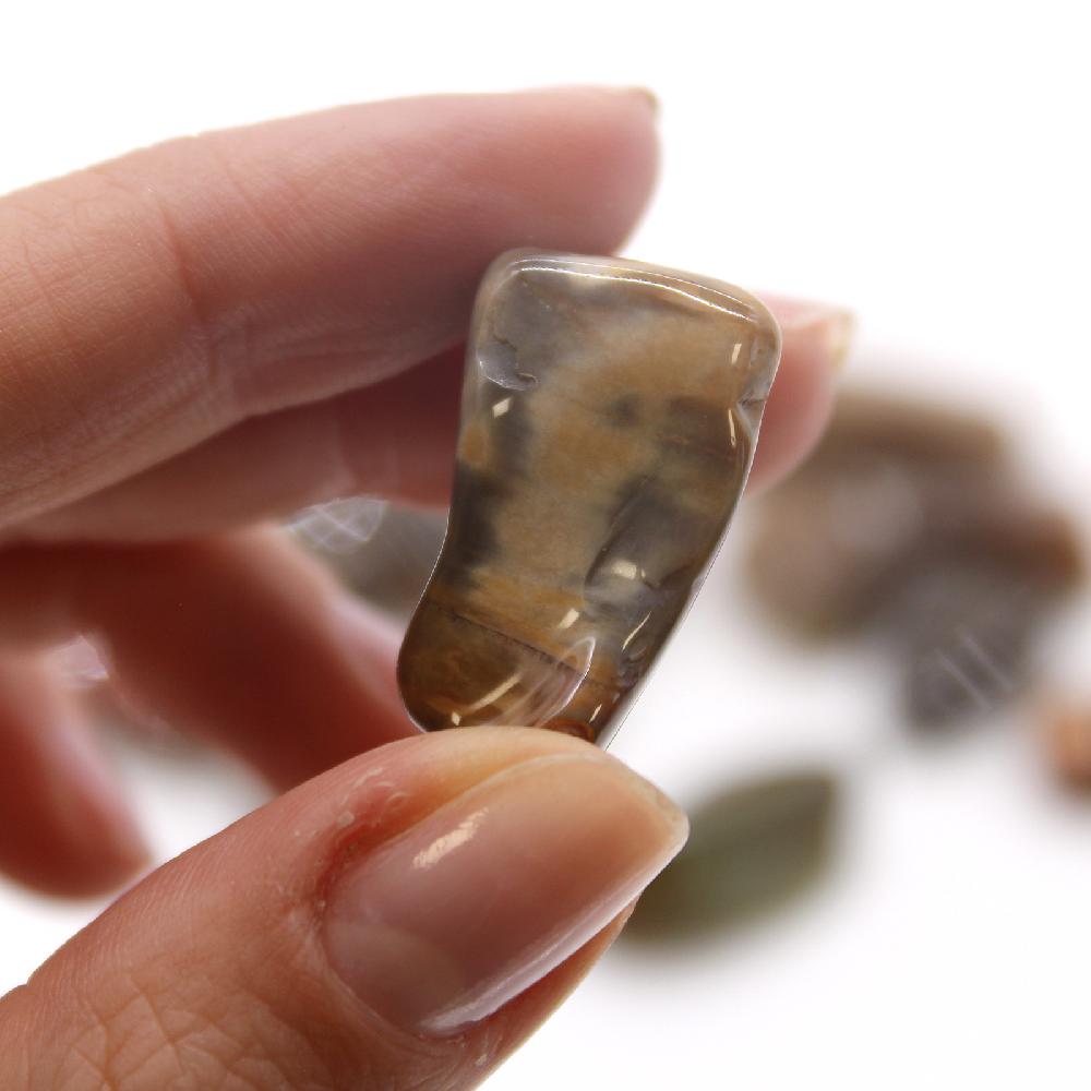 Ancient Wisdom 24x M Tumble Stone - Petrified Wood