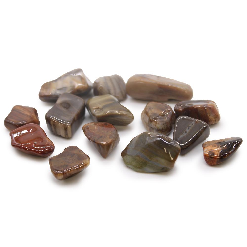 ancient wisdom 24x M Tumble Stone - Petrified Wood