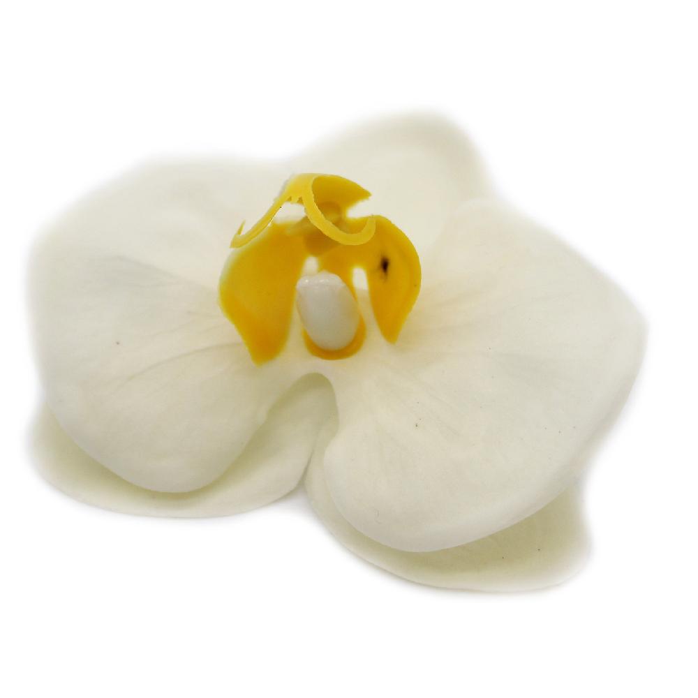 Ancient Wisdom 25x Craft Soap Flower - Orchid - Cream