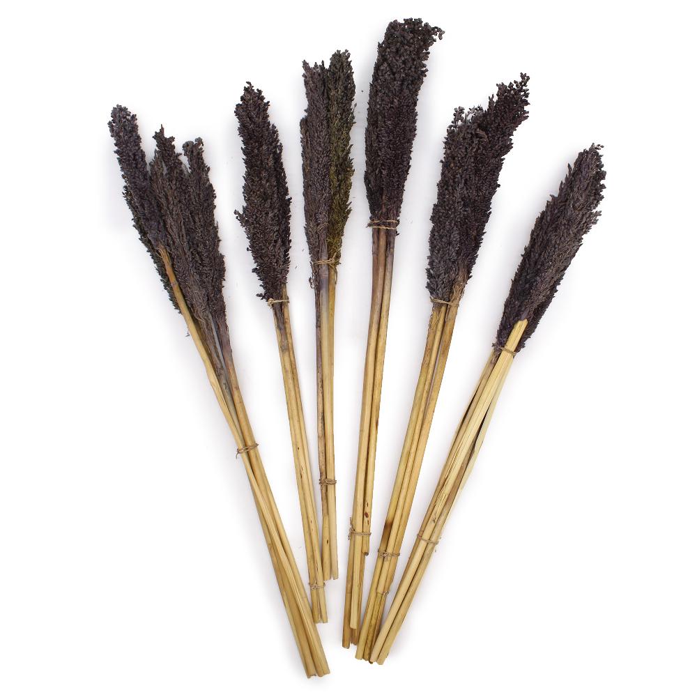 Ancient Wisdom 6x Cantal Grass Bunch - Black