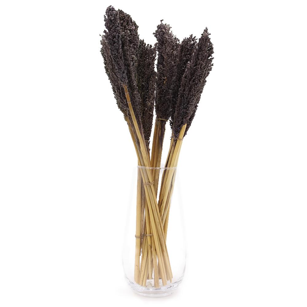 Ancient Wisdom 6x Cantal Grass Bunch - Black