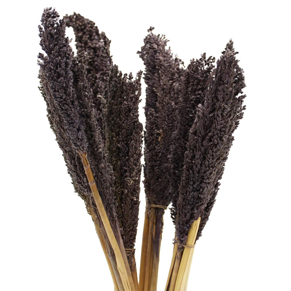 ancient wisdom 6x Cantal Grass Bunch - Black