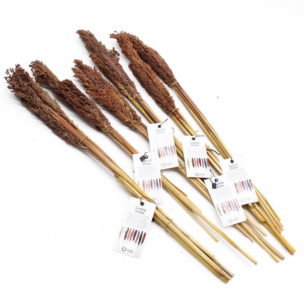 Ancient Wisdom 6x Cantal Grass Bunch - Chocolate