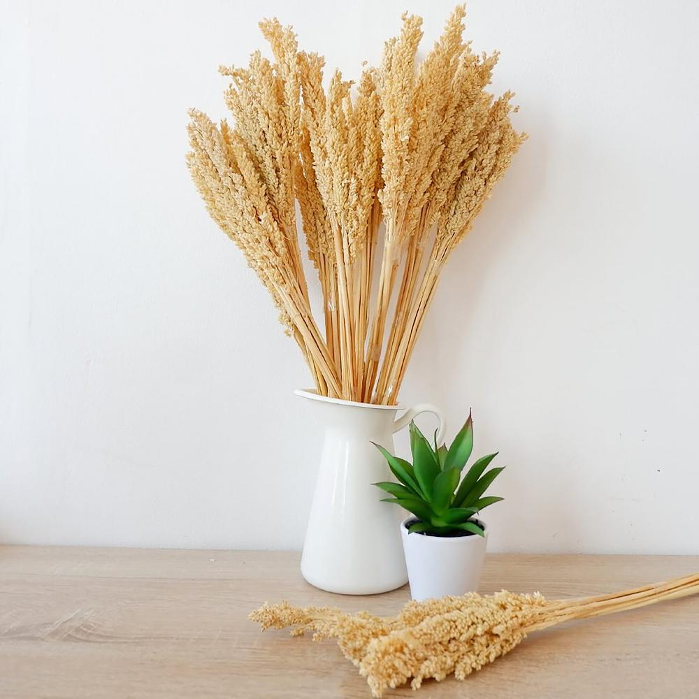 Ancient Wisdom 6x Cantal Grass Bunch - Natural