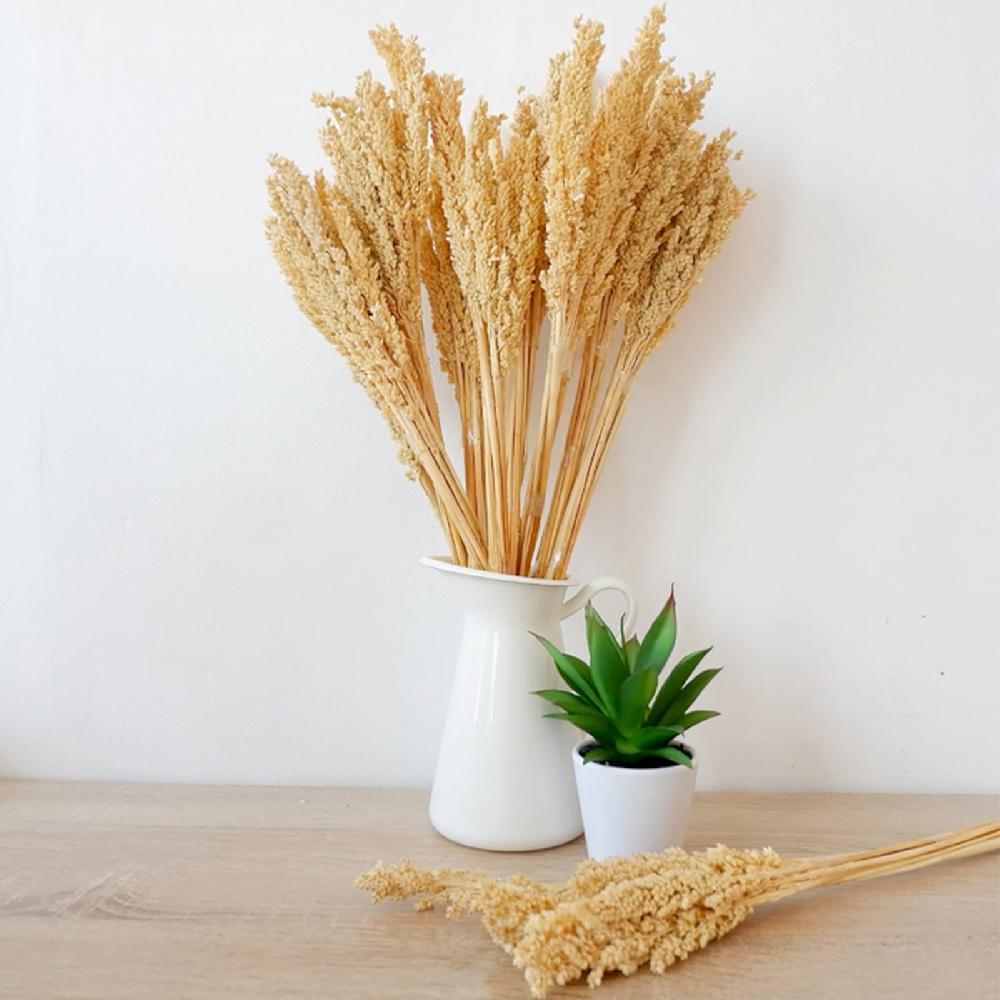 Ancient Wisdom 6x Cantal Grass Bunch - Natural