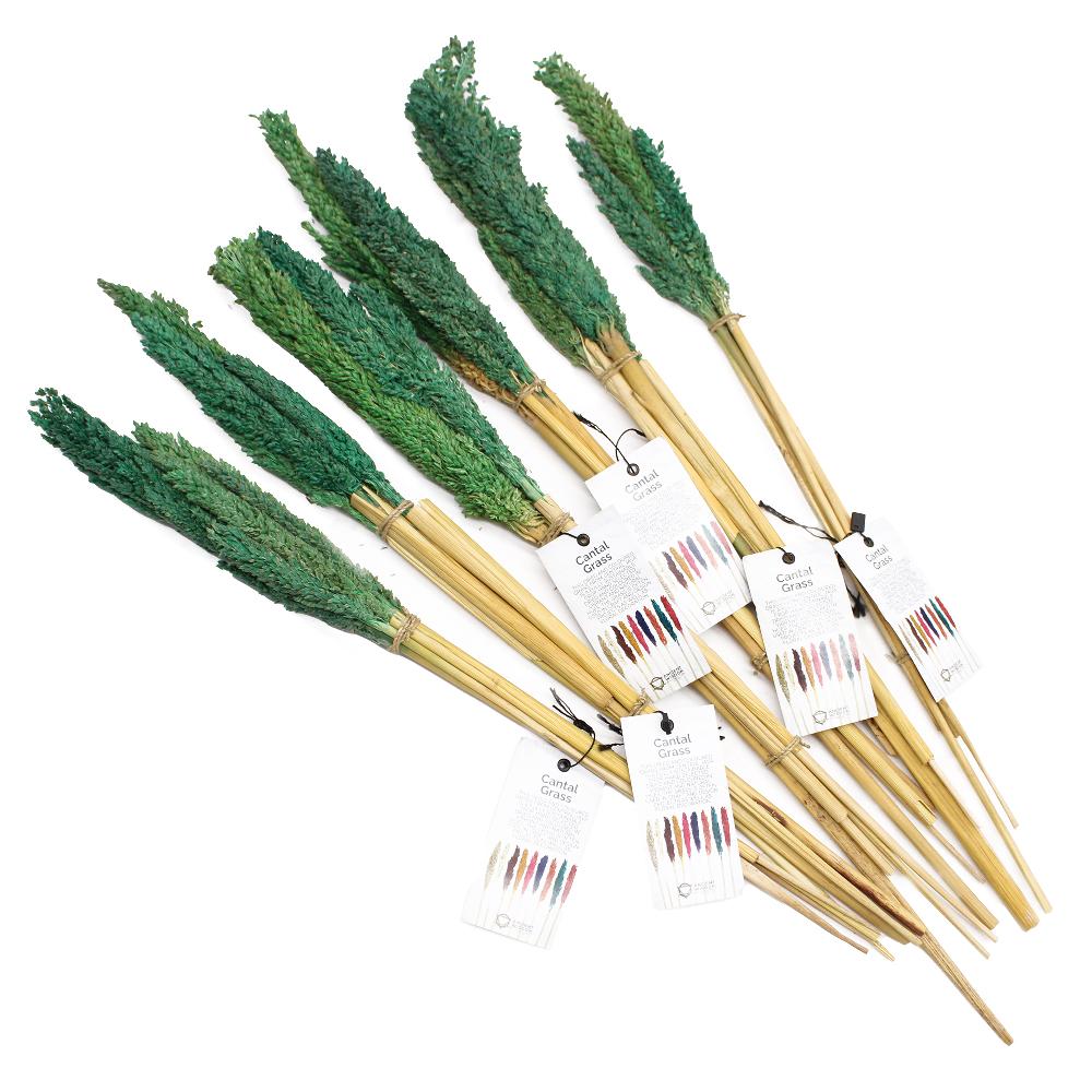 Ancient Wisdom 6x Cantal Grass Bunch - Teal