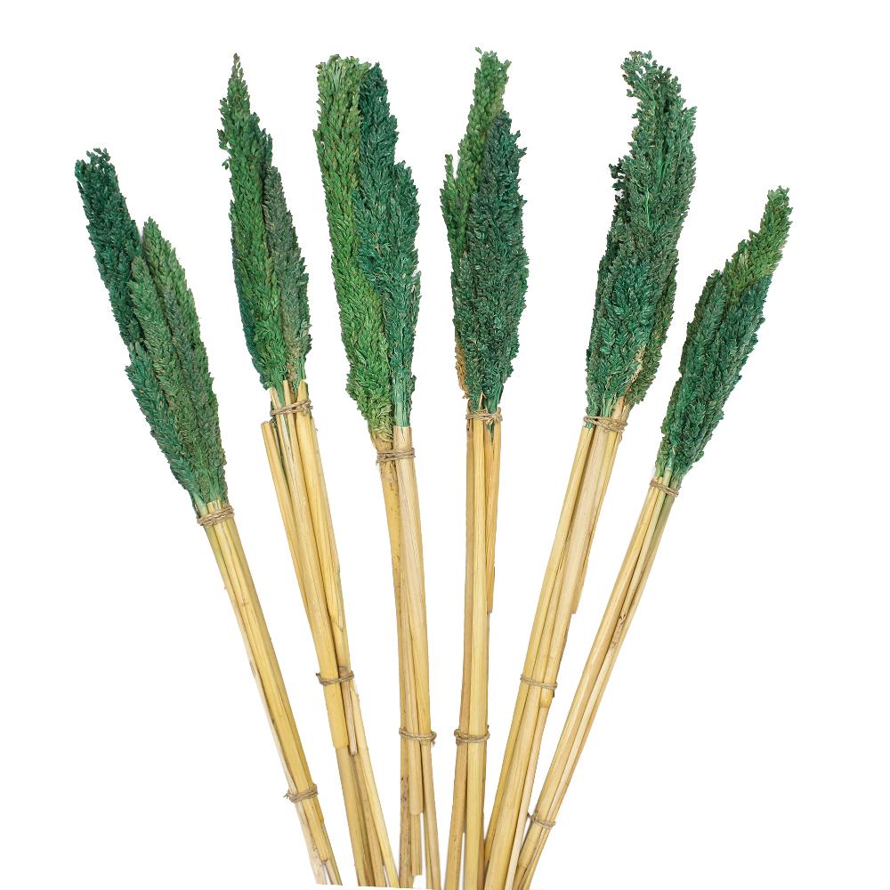 Ancient Wisdom 6x Cantal Grass Bunch - Teal
