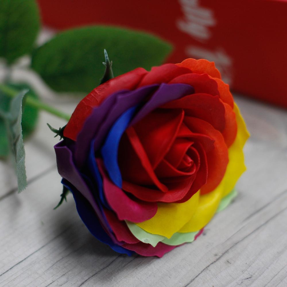 Ancient Wisdom 6x Luxury Soap Flower - Rainbow