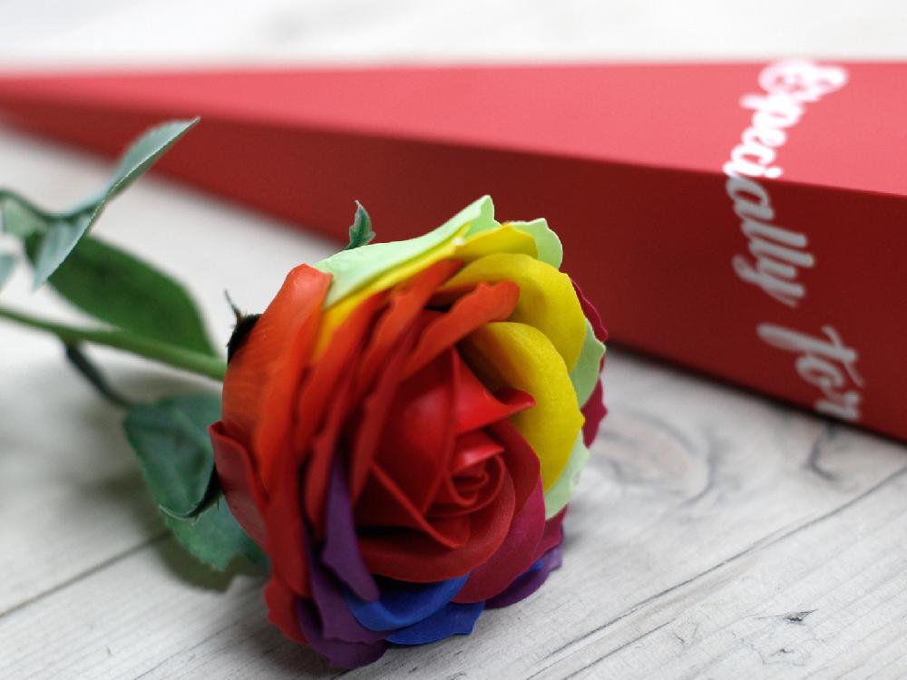 Ancient Wisdom 6x Luxury Soap Flower - Rainbow