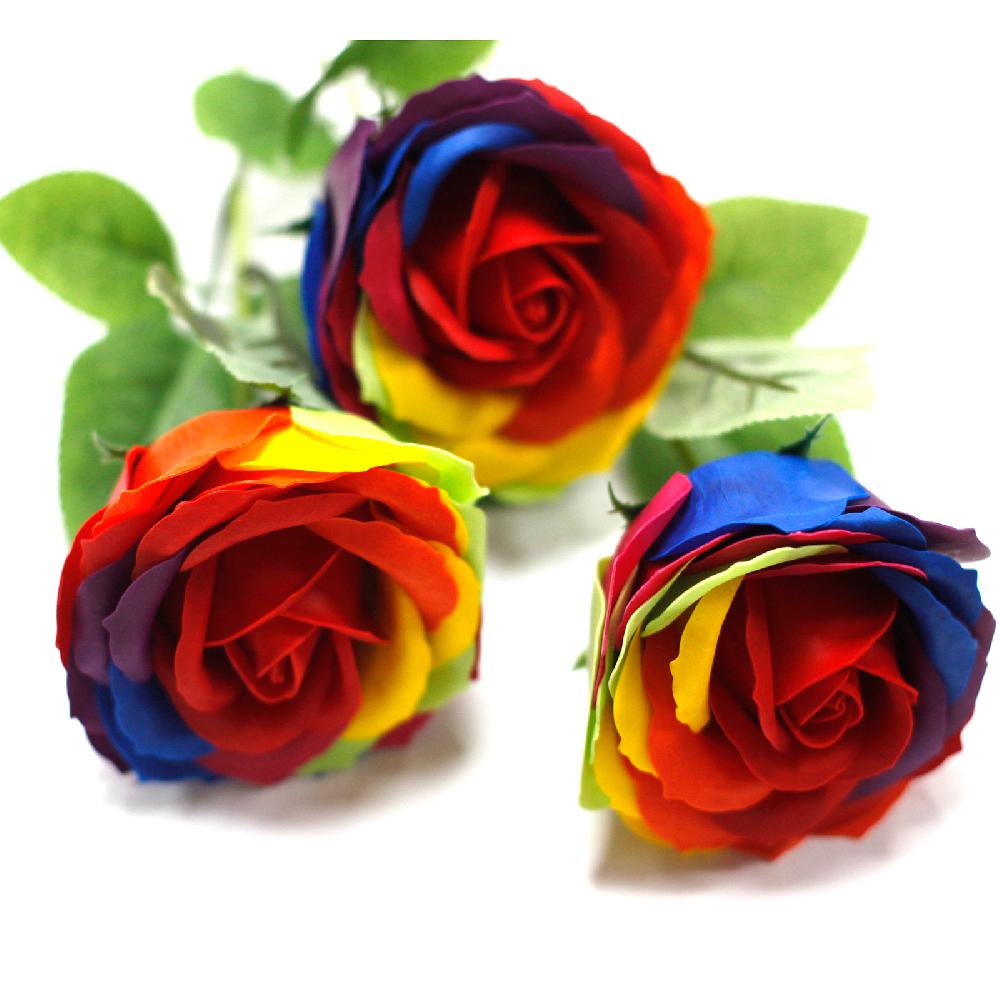 ancient wisdom 6x Luxury Soap Flower - Rainbow