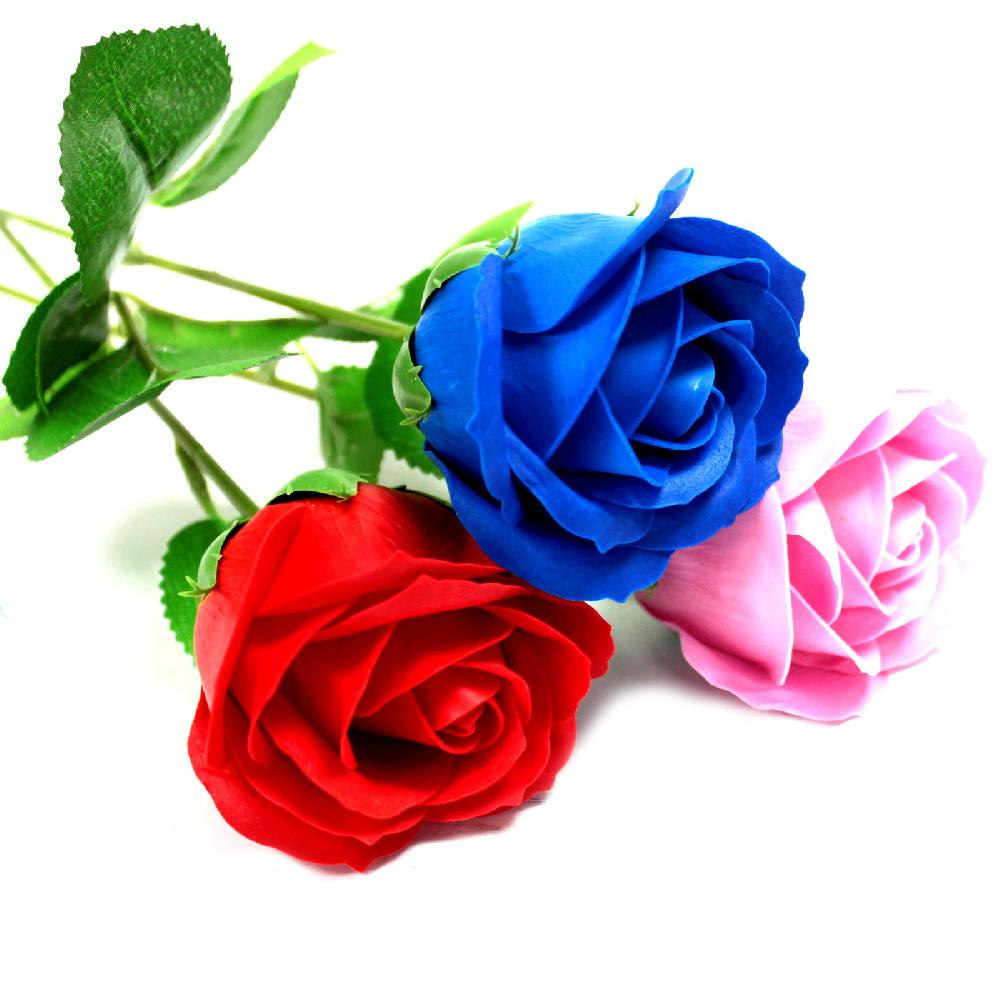 Ancient Wisdom 6x Single Rose - Blue Rose