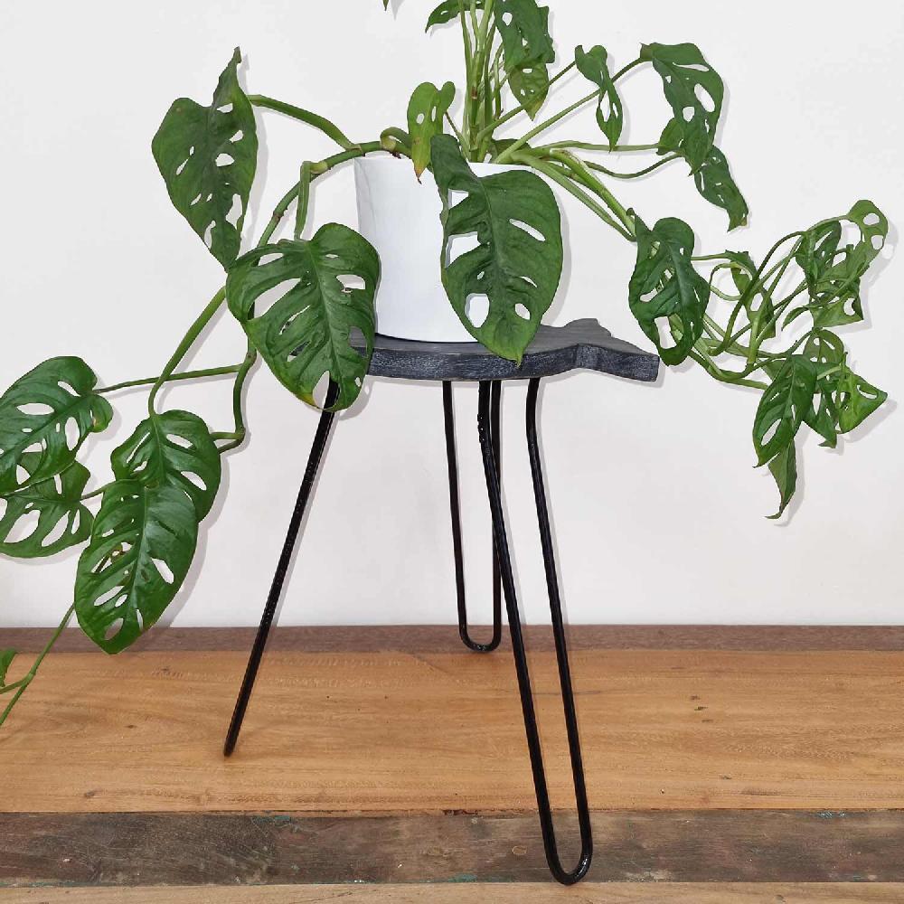 Ancient Wisdom Albasia Wood Fish Stand - Greywash