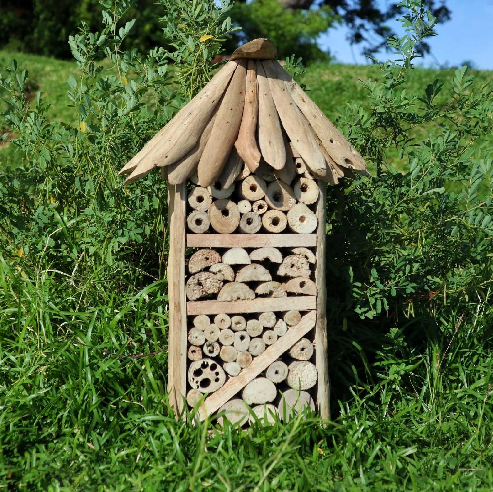 Ancient Wisdom Driftwood Bee & Insect Highrise Box